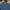Lacoste Casual Polo shirt Pria blue photo 4