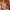 Andersson Bell Luxury Casual Sweatshirt Pria multicolor photo 3