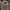 Burberry Casual Polo shirt Pria tan photo 3