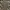 Burberry Casual Polo shirt Pria tan photo 2