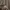 Burberry Casual Polo shirt Pria tan photo 5