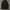 T Buc Luxury Casual Suit Pria Black