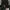 T Buc Luxury Casual Suit Pria black photo 2