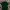 Hugo Boss Casual Polo shirt Pria green photo 2