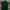 Hugo Boss Casual Polo shirt Pria green photo 1