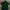 Hugo Boss Casual Polo Shirt Pria Green