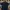 Casual Polo shirt Pria navy photo 1