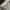ZARA Minimalist Casual Summer dress Wanita white photo 6