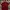 Giordano Casual Polo shirt Pria red photo 1