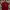 Giordano Casual Polo Shirt Pria Red