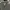 Lacoste Casual Polo shirt Pria gray photo 3