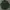 Polo Ralph Lauren Luxury Casual T-shirt Pria Green