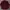 Polo Ralph Lauren Luxury Casual T-shirt Pria burgundy photo 1