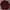 Polo Ralph Lauren Luxury Casual T-shirt Pria Burgundy