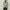 Luxury Casual Blazer Pria khaki gray photo 2