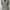 Luxury Casual Blazer Pria gray photo 2