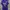 Nike Sportswear Jersey Pria purple navy photo 1
