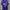 Nike Sportswear Jersey Pria Purple Navy