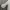 ZARA Minimalist Casual Summer dress Wanita white photo 4