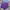 Vintage Y2K T-shirt Pria purple photo 5