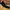 The North Face Streetwear Gorpcore Tracksuit Pria black photo 2