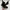 Dr. Martens Avant Garde Biker Chelsea boots Wanita black photo 1