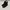 Dr. Martens Avant Garde Biker Chelsea boots Wanita black photo 4