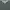 Nike Vintage Y2K Sweatshirt Pria Green Khaki