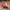 Nike Vintage Streetwear Hat Pria red gray photo 3