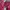 Casual T-shirt Wanita pink photo 5