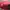 Vintage Hat Pria burgundy red photo 6
