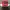 Vintage Hat Pria burgundy red photo 1