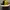 Vintage Hat Pria black yellow photo 2