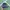 Nike Y2K Sneakers Pria purple yellow photo 1