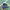 Nike Y2K Sneakers Pria Purple Yellow