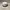 Kangol Streetwear Hat Pria white photo 1