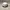 Kangol Streetwear Hat Pria White