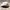 Kangol Streetwear Hat Pria white photo 3