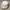 Kangol Streetwear Hat Pria white photo 4
