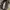 Michael Kors Luxury Bags & purse Wanita navy photo 3