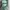 Luxury Fleece Wanita green blue photo 4