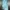 Luxury Fleece Wanita Green Blue