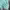 Luxury Fleece Wanita green blue photo 3