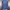 Sportswear Track jacket Wanita purple navy photo 1