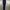 Sportswear Legging Wanita black photo 2