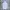 Adidas Sportswear Polo shirt Pria white photo 1