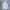 Adidas Sportswear Polo Shirt Pria White