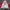Nike Casual Bomber jacket Pria white red photo 2