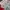 Nike Casual Bomber jacket Pria white red photo 3