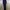 Sportswear Legging Wanita gray photo 2